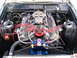 1976 Ford Torino photo