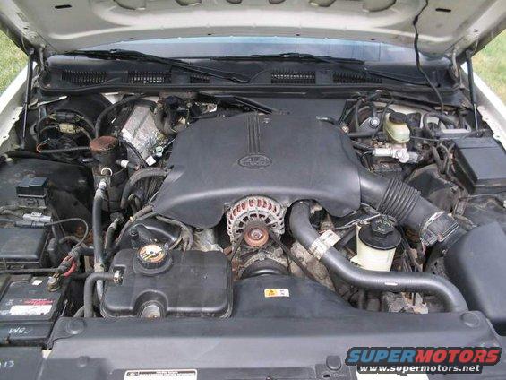 Engine bay of a Ford Crown Victoria, showing the V8 engine and various components