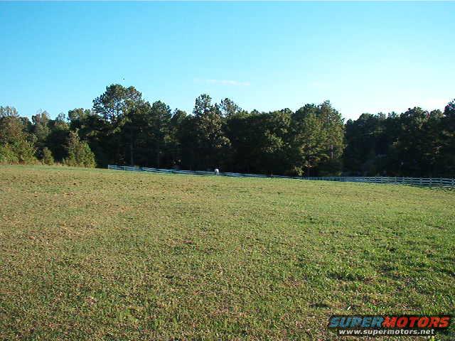 Pasture in front of house