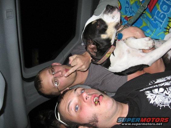 Two guys and a dog are crammed into the back of a vehicle