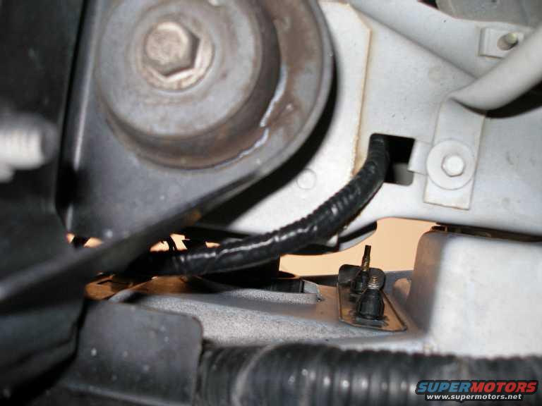 new-wiring-underside.jpg I ran the wiring under the fender and up in front of the radiator support.