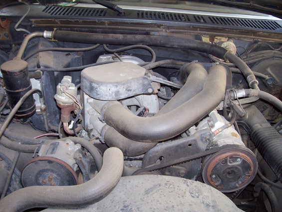 Engine bay with hoses and belts visible