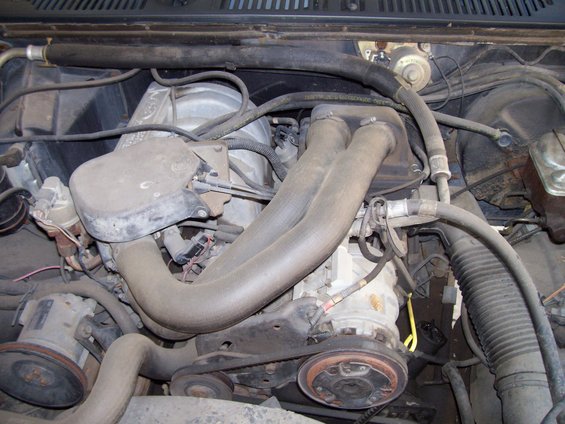 Engine bay with hoses and belts visible