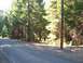 1994 Ford F-150 - A paved road curves through a wooded area next to a utility pole.