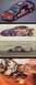 1995 Ford Mustang - Multiple race cars are shown, including a rendering and a view from inside a cockpit.