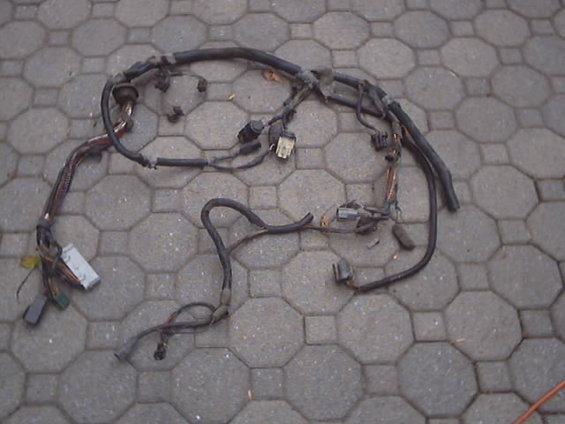 picture1.jpg