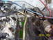 2000 Nissan Xterra - Engine block with cylinder head removed, revealing internal components and coolant.