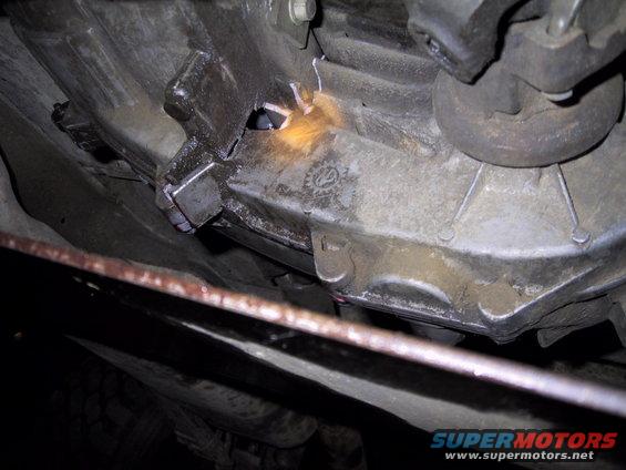 img_0079.jpg few more