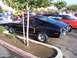 2002 Ford Mustang - A black classic Ford Mustang fastback is parked at an outdoor car show with other vehicles.