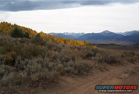 Dirt road leading through sagebrush to a mountain landscape with autumn trees