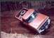 1976 Ford F-100 - This 1976 Ford F-100 is stuck in a muddy ditch, with its spare tire visible in the truck bed.