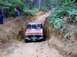 1976 Ford F-100 - This 1976 Ford F-100 navigates a challenging muddy path through a wooded area.