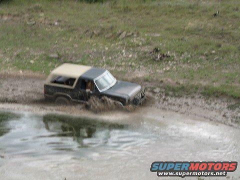 playing in tank again
