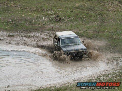 playin in tank