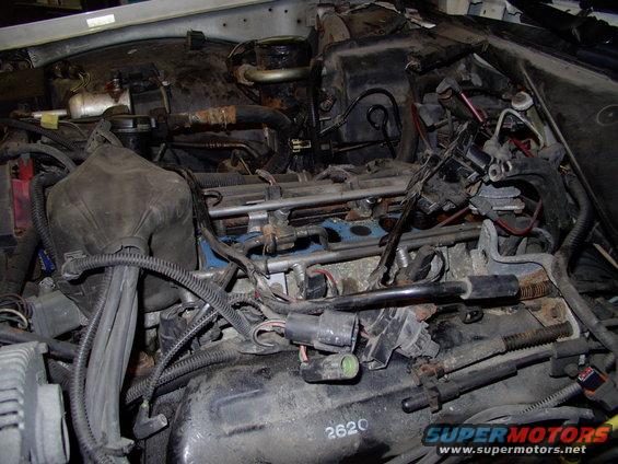 img_0079.jpg Lower intake exposed.