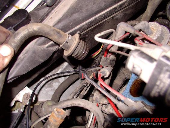 By pulling the hose, the PCV grommet came out with the PCV valve, indicating how old and brittle it was.