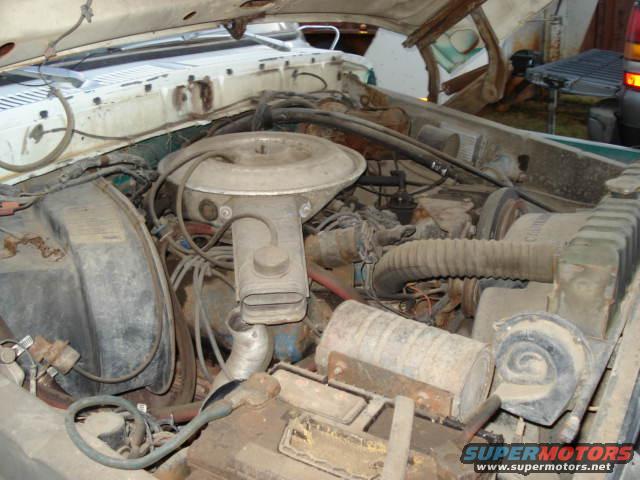Engine bay with air cleaner and radiator