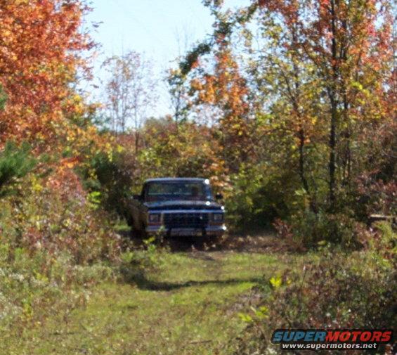 Ford F-Series truck on a dirt path surrounded by autumn trees