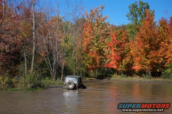 Gray Jeep Wrangler with spare tire on rear door, partially submerged in muddy water, surrounded by autumn trees