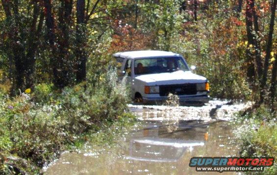 white van stuck in a muddy puddle with trees and foliage around