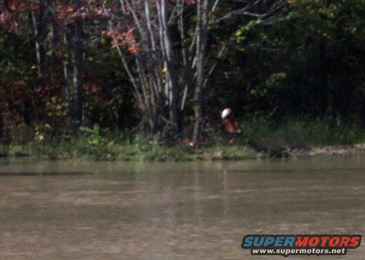 Person wearing an orange shirt and white hat sits near trees by a body of water
