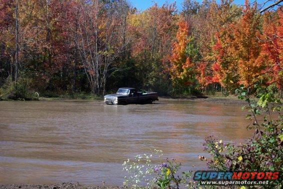 White and black vehicle partially obscured by trees with autumn foliage