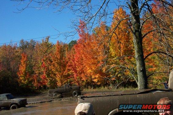 Muddy trucks driving through water with colorful autumn trees