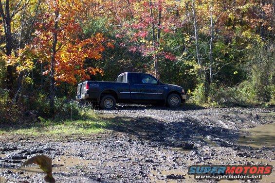 Dark blue pickup truck parked on a muddy track with fall foliage in the background