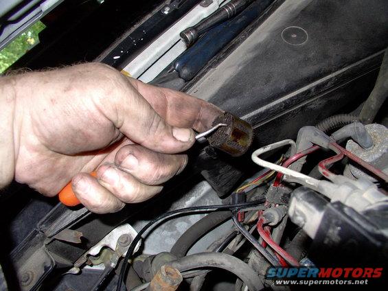 img_0087.jpg Yoink !

Out comes the oil breather filter, which sits under the PCV grommet.