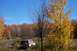 1979 Ford Bronco - Off-road vehicles drive through a wooded area during the fall season.