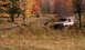1979 Ford Bronco - An old SUV sits partially hidden in overgrown grass during autumn.