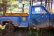 1979 Ford Bronco - A blue pickup truck sits in a wooded area, covered in mud with a yellow insert in its truck bed.