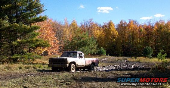 White pickup truck stuck in mud, front 3/4 view, autumn trees in background