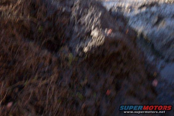 Muddy ground with vegetation and a Supermotors watermark