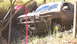1979 Ford Bronco - Pickup truck is stuck deep in mud, with a red ribbon tied to a nearby tree branch.