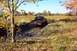 1979 Ford Bronco - A red pickup truck navigates a muddy obstacle course during an off-road event.