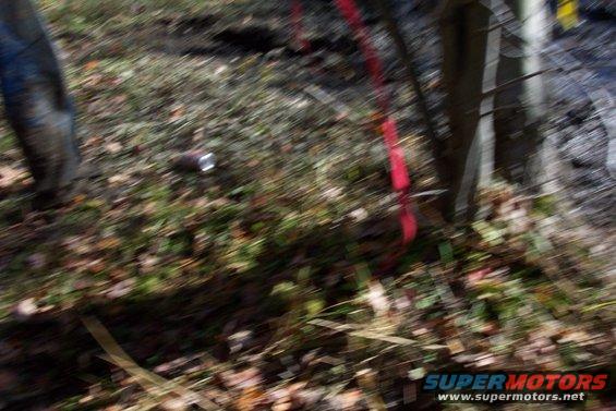 Ground with fallen leaves, a red strap, and a discarded can