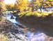 1979 Ford Bronco - An off-road vehicle splashes through a muddy watercourse during an event, with onlookers present.