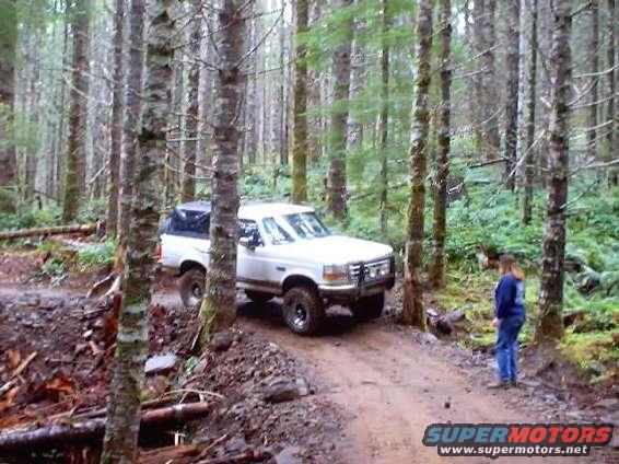 White Ford F-150 truck with a black camper shell on a dirt road in a forest