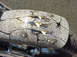 1999 Harley-Davidson Fat Boy - Custom painted motorcycle fender features a cracked stone design with claw marks.