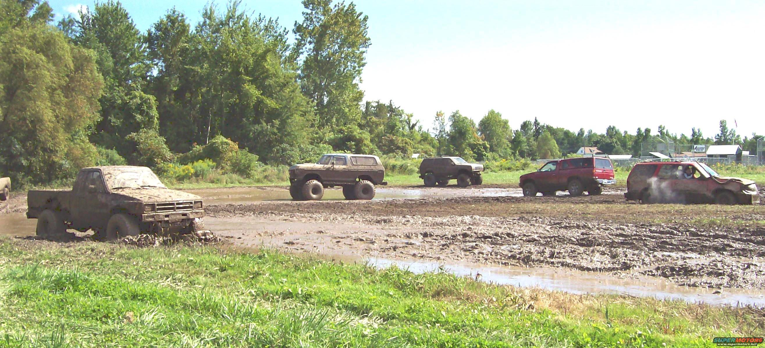 1979 Ford Bronco photo
