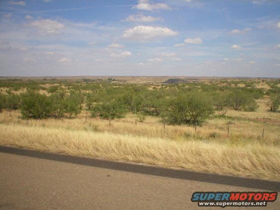 wide shot of a dry, grassy field with scattered bushes under a partly cloudy sky. A road is visible in the foreground