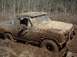 1978 Ford Bronco - This truck is deep in the mud, with trees in the background.