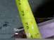 1988 Ford C-350 (Centurion Conversions) - A close-up shot shows a yellow measuring tape with inch markings, indicating a measurement is being taken.
