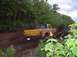 1978 Ford Bronco - Pickup truck stuck in mud on a wooded trail.
