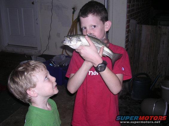dscn3597.jpg Large mouth bass