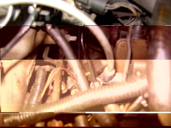 Engine bay with hoses and wiring