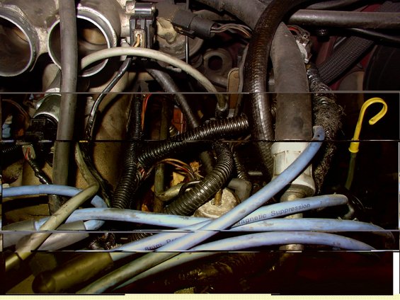 Engine compartment with blue spark plug wires labeled "Magnetic Suppression"