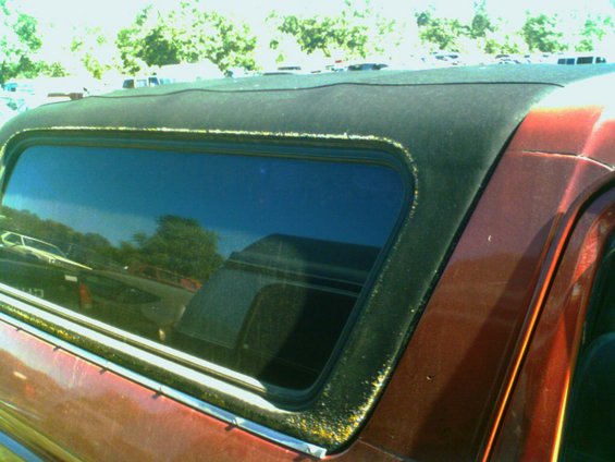 Red van or SUV with a black vinyl roof and tinted rear window, showing rust around the window trim