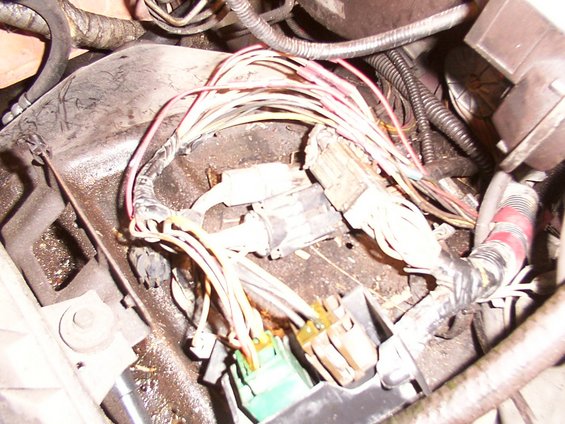 Engine compartment wiring harness with many colored wires and connectors